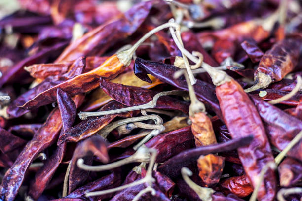  Common  Guntur Dry Red Chilli